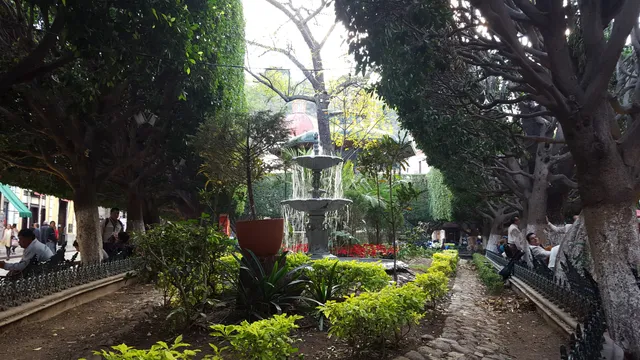 Unión Garden