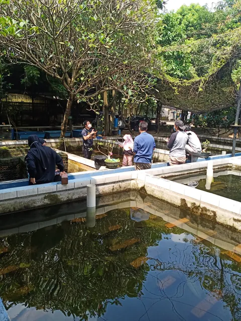 BFC Mini Farm (Bintaro Farm Center)