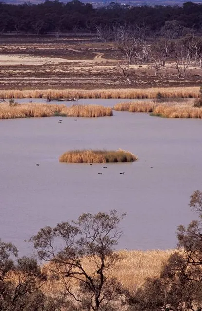Banrock Station Wine and Wetland Centre