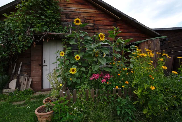 Domek Tkaczki - Muzeum Dawnej Wsi