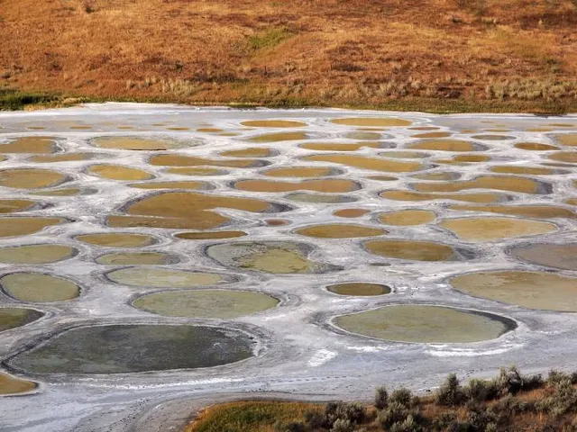 Spotted Lake Okanagan Nation