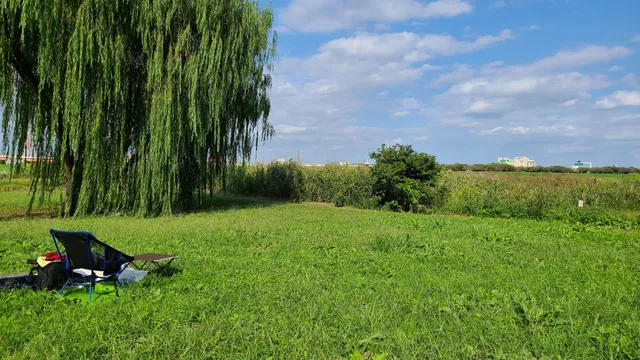 place image