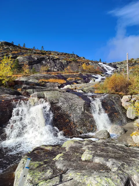 Bortelid Autumn Market
