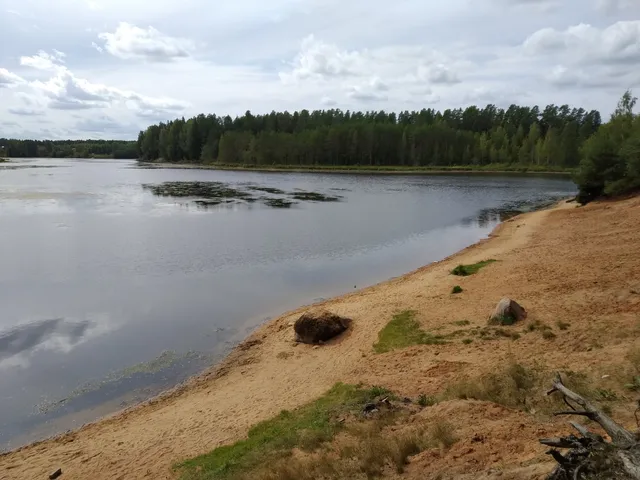 Вырицкое городское поселение