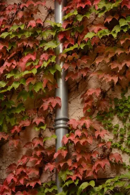 Casa Museu de la Màgia