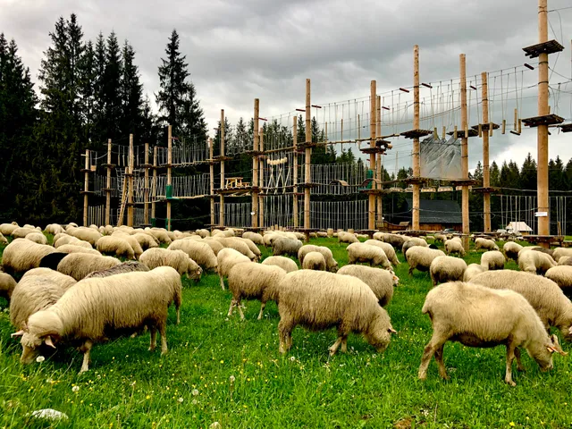 Park Linowy Siwa Polana