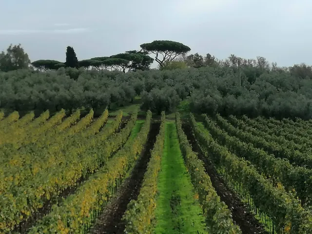 Riserva della Cascina - Cantina e Vigneto