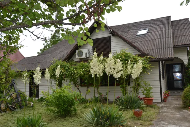 Cazare Sulina | Casa de Vacanță Topaz