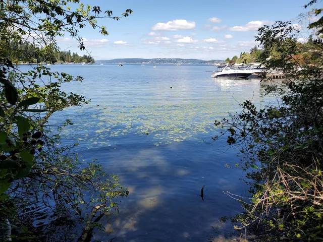 Wetherill Nature Preserve