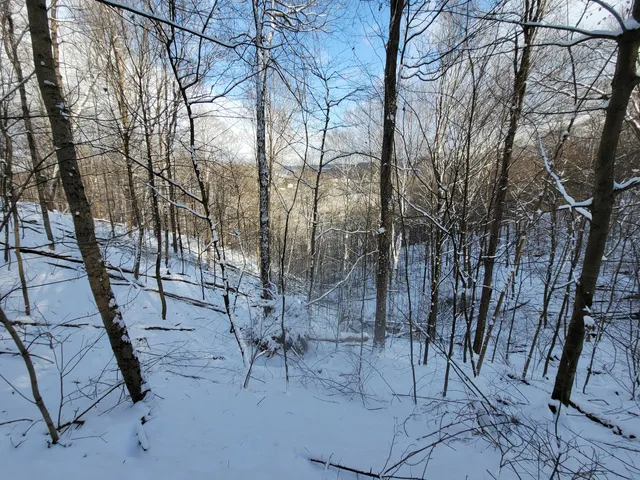 Lorain/Stonycreek Hiking Trails