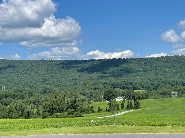 Boyd Big Tree Preserve Conservation Area