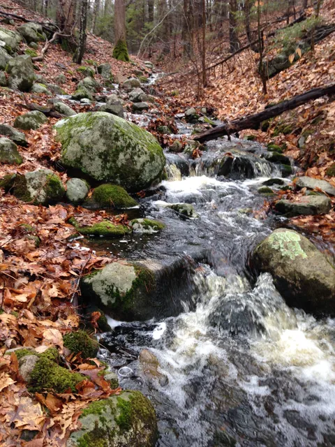 Wildlands Trust - Tucker Preserve