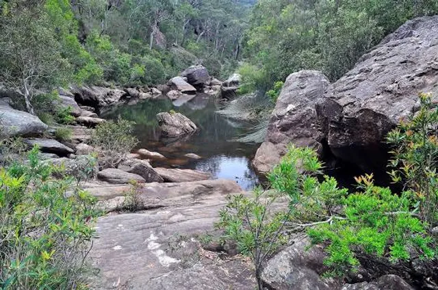Glenbrook Gorge track