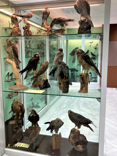 Natural History Museum of Marousi Municipality