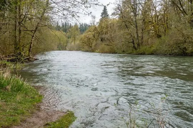 Flaming Geyser State Park