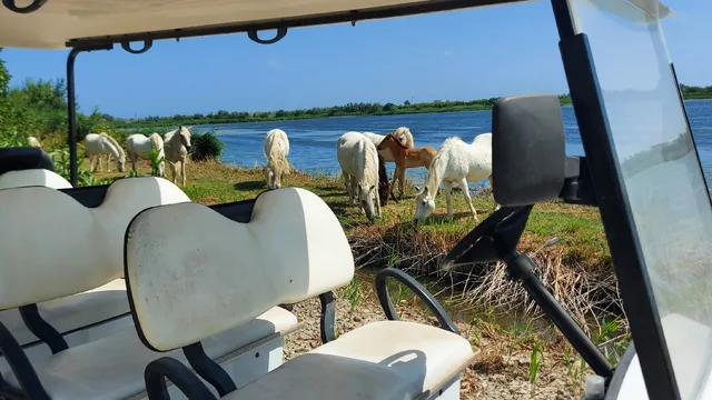 Reserve Petit Rhône