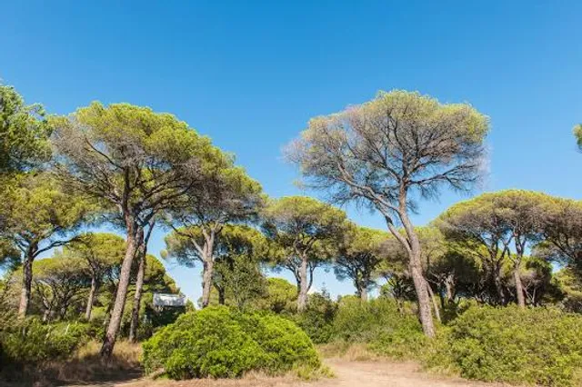 Oasi San Felice, affiliata WWF - Una proprietà Allianz