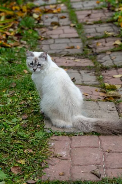 Hermitage of St. John of Dukla