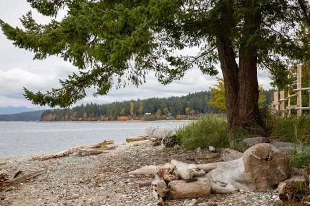 Area C (Cortes Island)