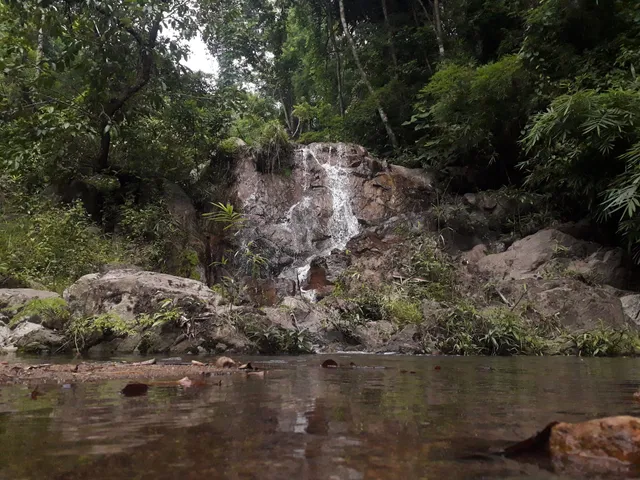 photo-2