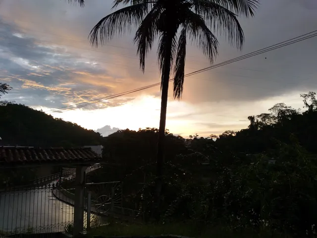 Park City Natural Forest Amateur