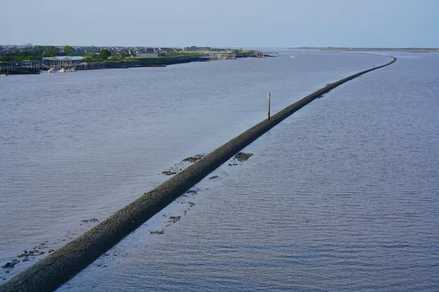"de Rijke" Training Levee