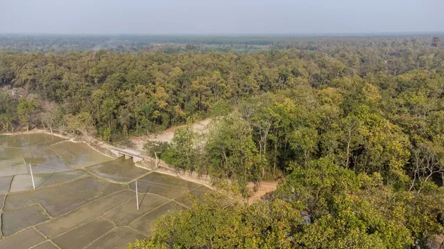 Madhupur National Park