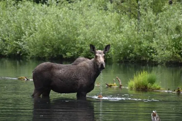 Dry Gulch Provincial Park