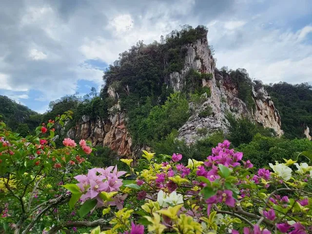 Pavilion Petting Zoo