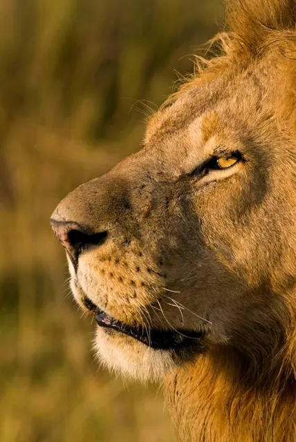 State Park of Serra do Cabral