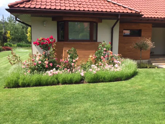 Concolor Park I Zakładanie ogrodów trawników Wycinka drzew Nawadnianie Drenaże Odwodnienia Czyszczenie rynien Roboty ziemne