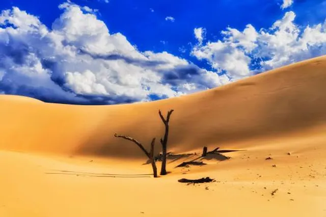 Worimi National Park