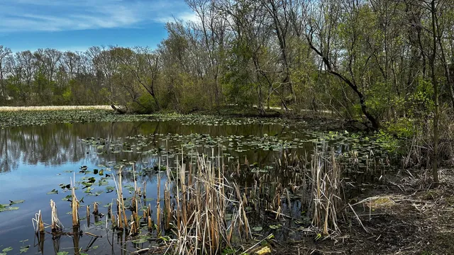 Boyer Nature Preserve