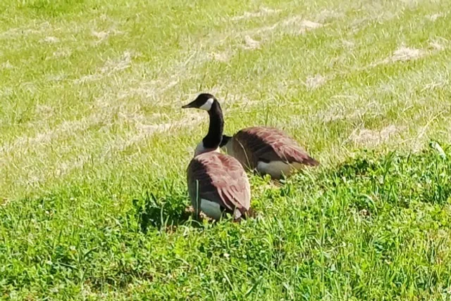 Luzerne County Levee Trail