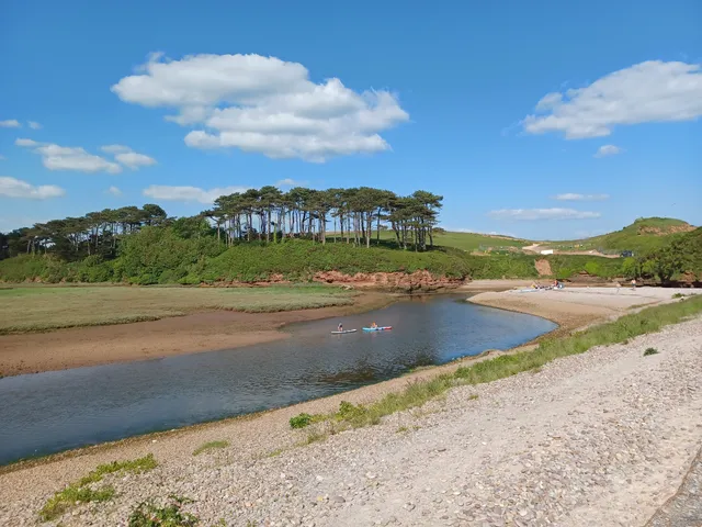 Otter Estuary Nature Reserve
