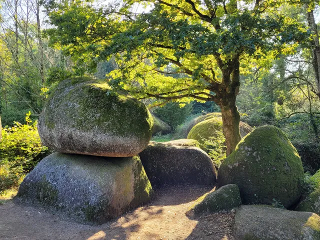 photo-2