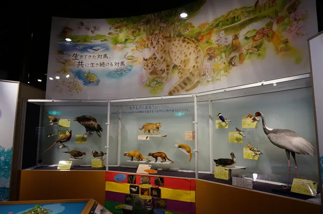 Tsushima Wildlife Conservation Center