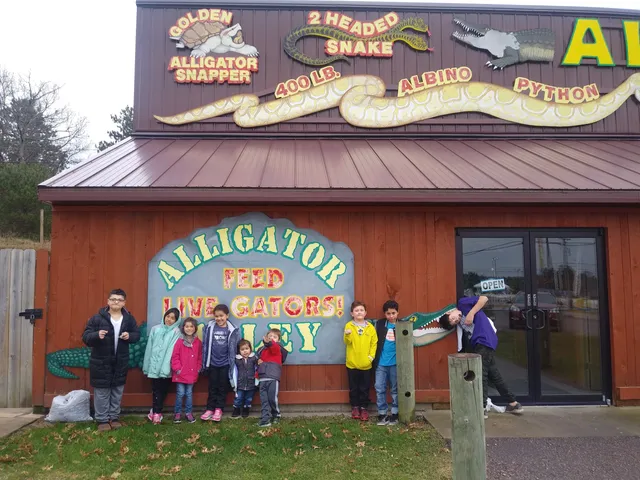 Alligator Alley Adventures