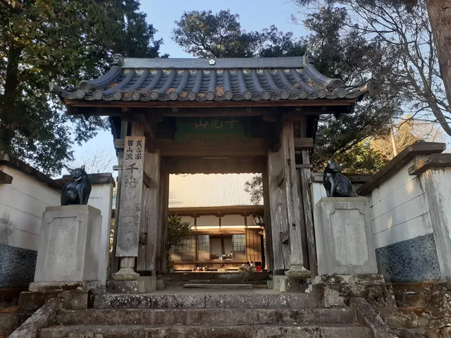 photo-2
