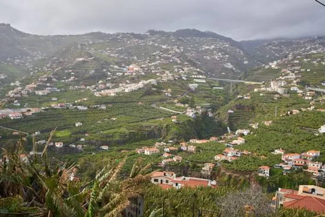Miradouro do Pico da Torre