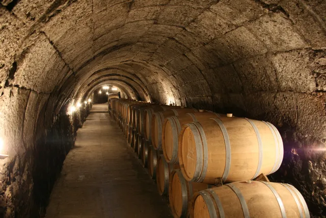 Bodegas Ismael Arroyo | ValSotillo - Ribera del Duero