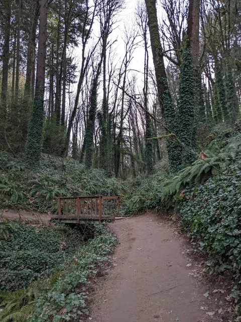 photo-2