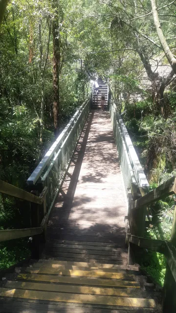 Fred Hollows Reserve