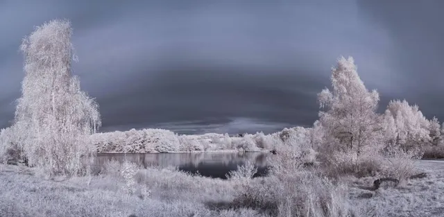 Anastasie Fătu Botanical Garden