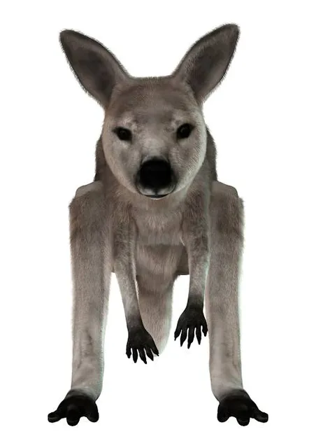 Museo de la Villa Romana La Olmeda