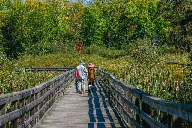 Upper Canada Migratory Bird Sanctuary