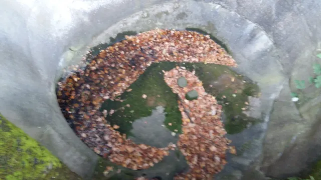 Marmite glaciaire des Caillettes