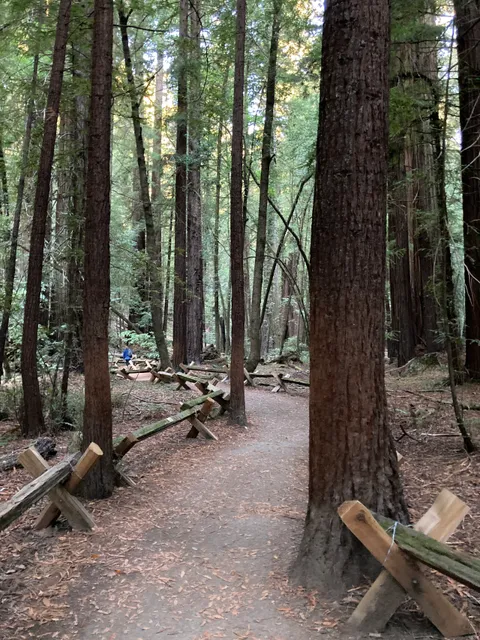 Stewards of the Coast and Redwoods