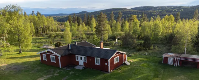 Reyers Bo På Landet