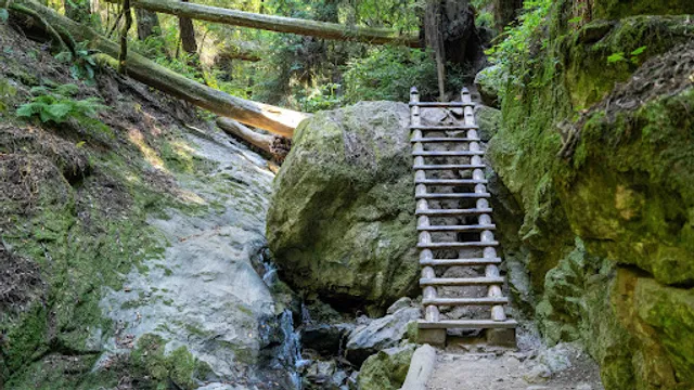 Dipsea Trail Head Parking